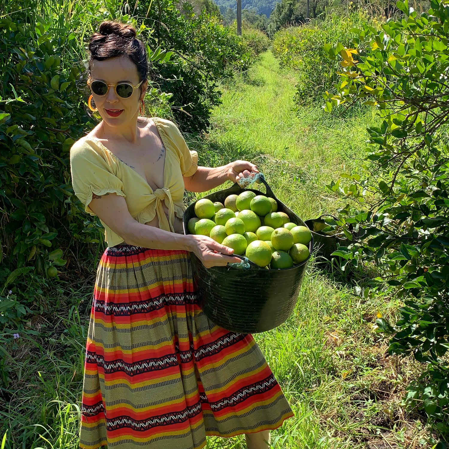 Genna picking local limes