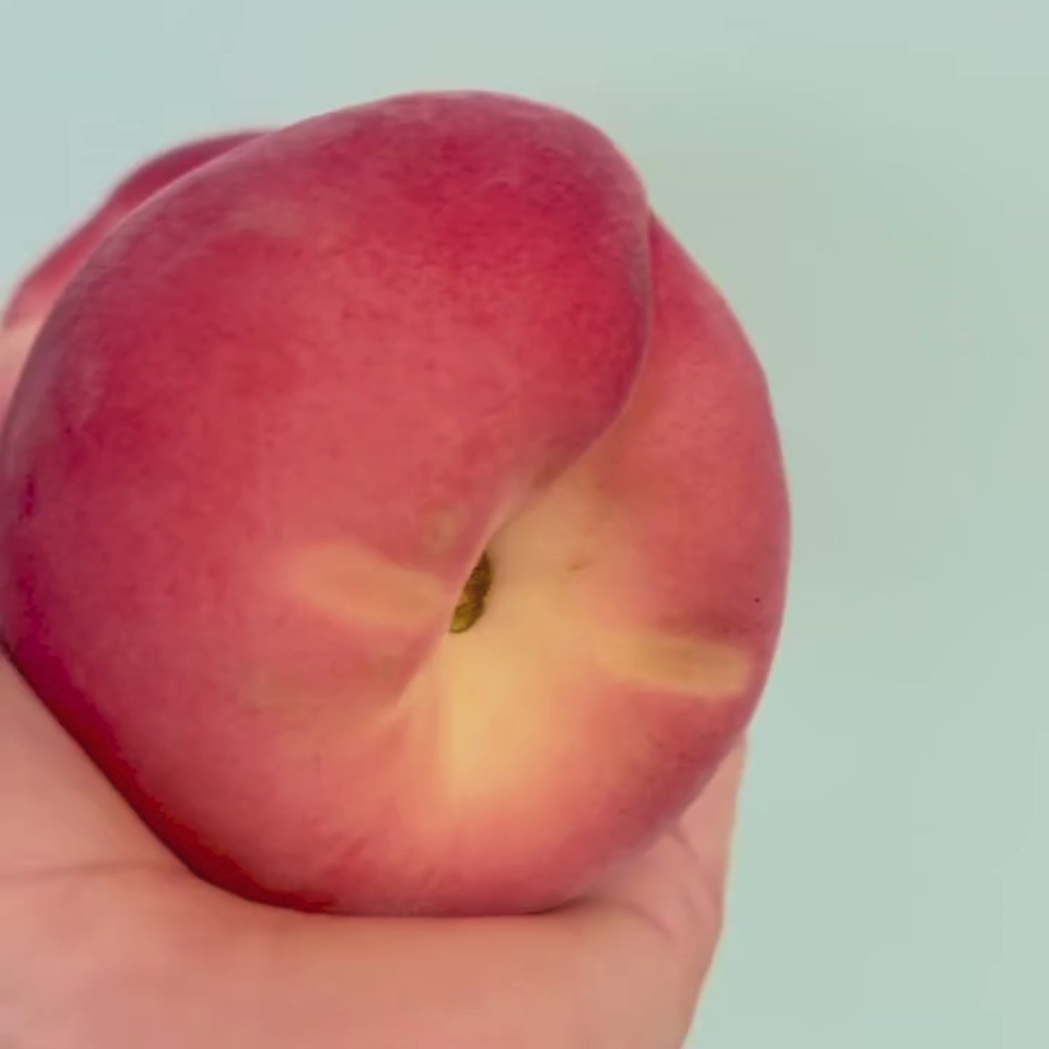 Limited Edition: Peaches & Dreams Horchata