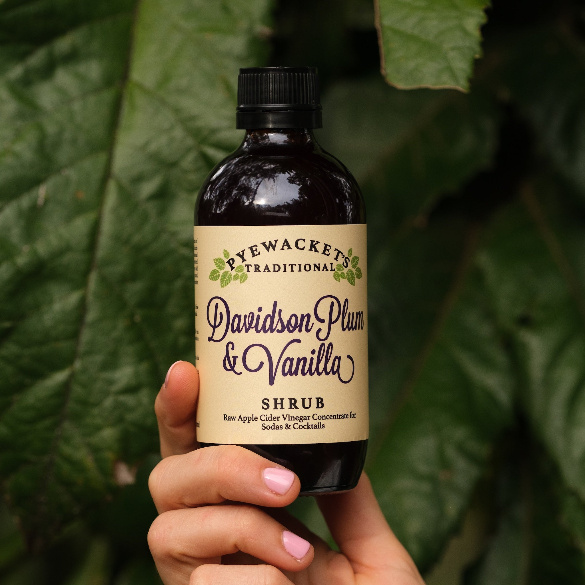 Davidson Plum & Vanilla Shrub - Pyewackets Traditional