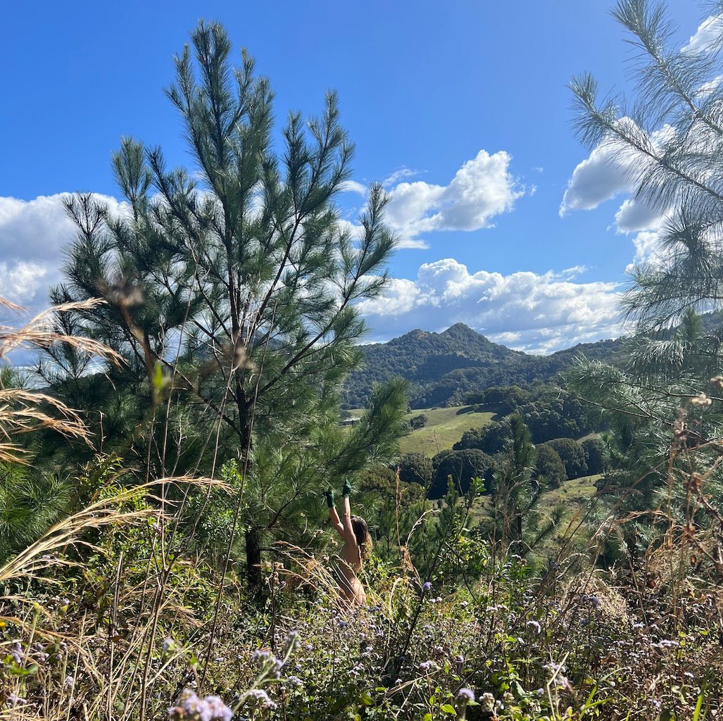 Limited Edition: Mandarin & Pine - Pyewackets Traditional