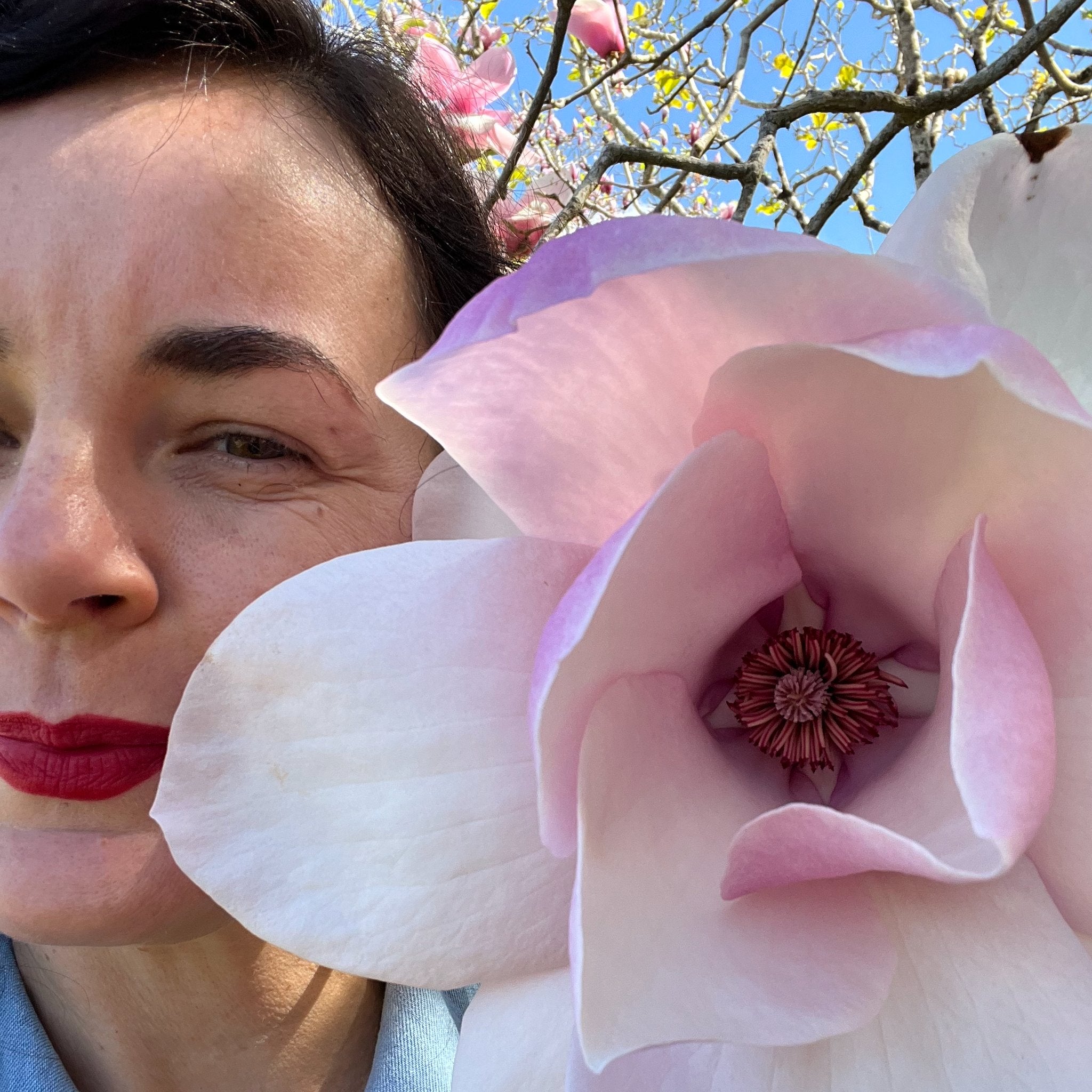 Magnolia & Pear - Pyewackets Traditional