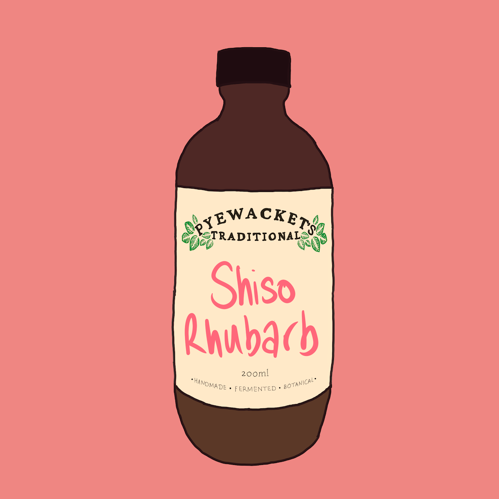 Illustration shiso and rhubarb shrub bottle